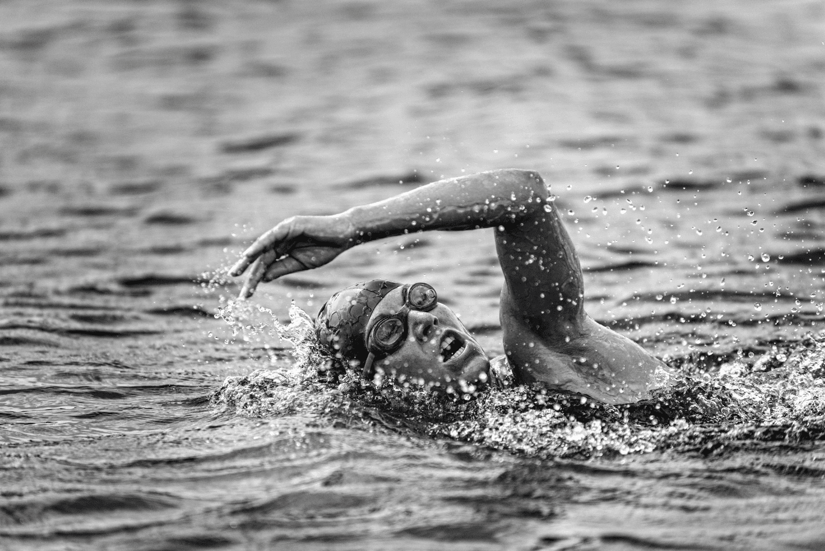 Andrea Gonini banner